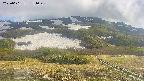area2-20250601151036.jpg
