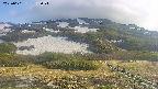 area2-20250601155033.jpg