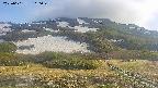 area2-20250601160034.jpg