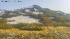 area2-20250601165035.jpg