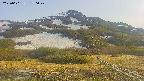 area2-20250601170034.jpg