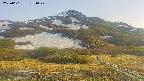 area2-20250601171034.jpg