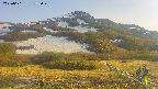 area2-20250601172035.jpg