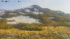 area2-20250601173036.jpg