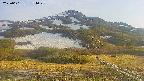 area2-20250601174035.jpg