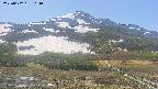 area2-20250602104034.jpg