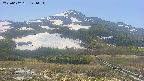 area2-20250602121032.jpg