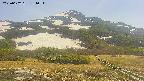 area2-20250602131035.jpg