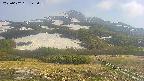 area2-20250602145036.jpg