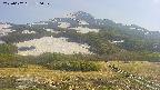 area2-20250602150034.jpg