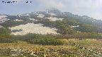 area2-20250602155035.jpg