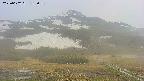 area2-20250602182036.jpg