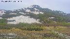 area2-20250603052035.jpg