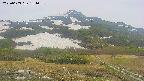 area2-20250603131034.jpg