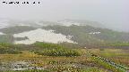 area2-20250604055032.jpg