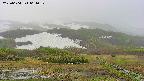 area2-20250604061031.jpg