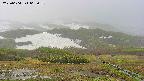 area2-20250604065034.jpg
