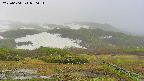 area2-20250604070032.jpg