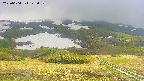 area2-20250604142032.jpg