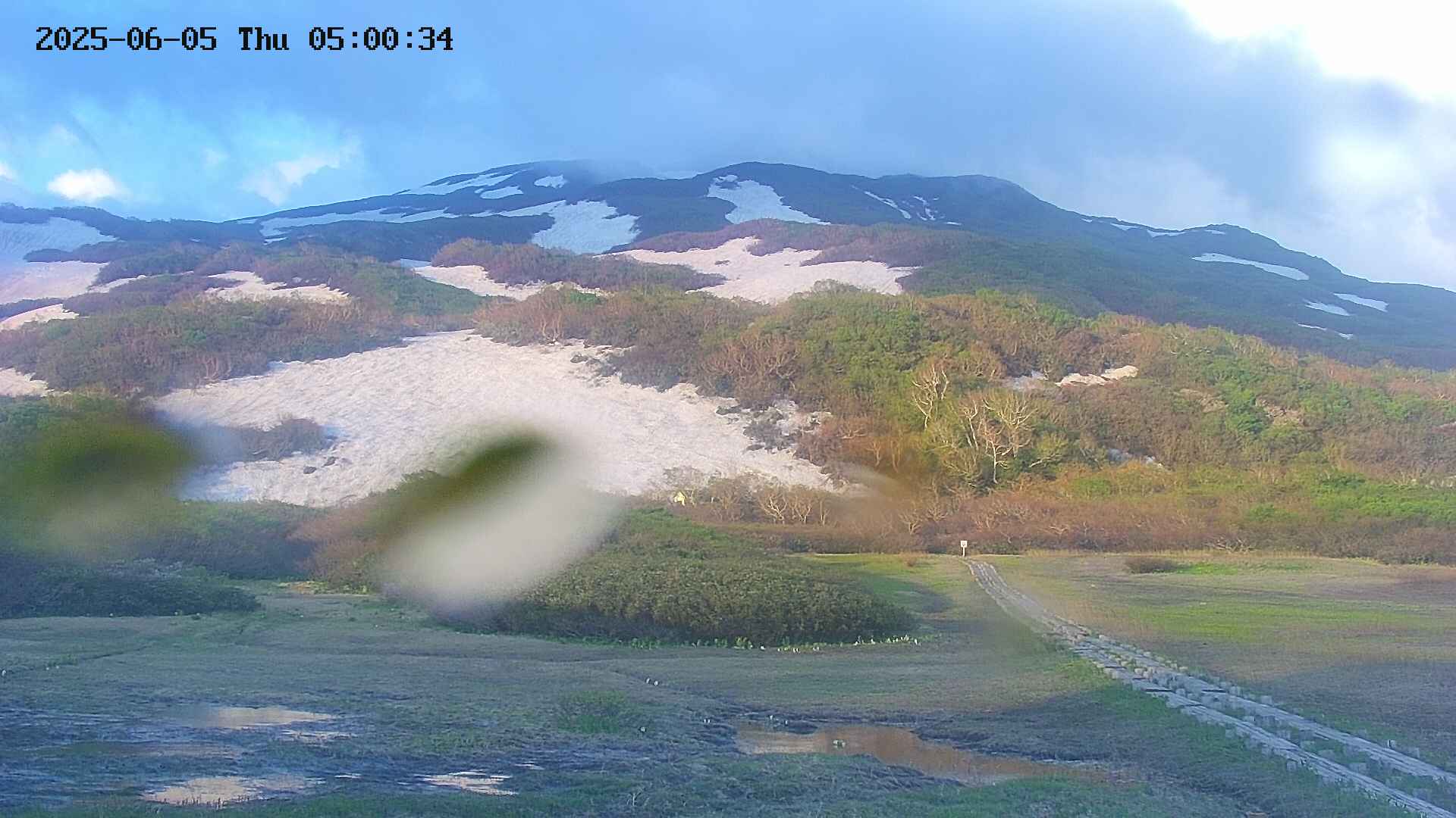 area2-20250605050035.jpg