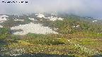 area2-20250605061034.jpg