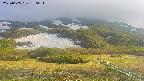 area2-20250605170035.jpg
