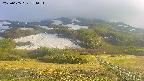 area2-20250605171036.jpg