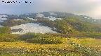 area2-20250605174038.jpg