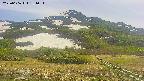 area2-20250606131032.jpg