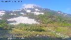 area2-20250607055035.jpg