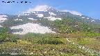 area2-20250607064034.jpg