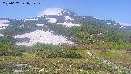 area2-20250607072033.jpg