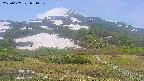 area2-20250607081031.jpg