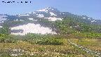area2-20250607094034.jpg