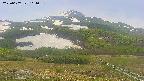area2-20250607111036.jpg