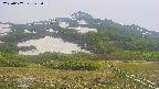 area2-20250607125035.jpg