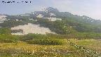 area2-20250607160035.jpg