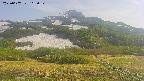 area2-20250607162033.jpg