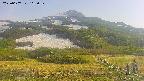area2-20250607165033.jpg