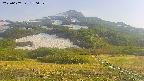 area2-20250607170033.jpg