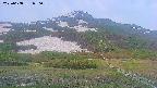 area2-20250608050034.jpg