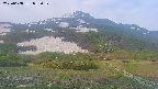 area2-20250608052033.jpg