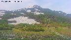 area2-20250608054035.jpg