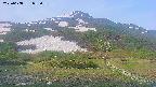 area2-20250608055035.jpg