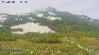 area2-20250608080037.jpg