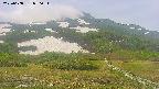 area2-20250608090035.jpg