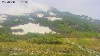 area2-20250608100034.jpg