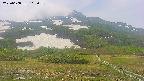 area2-20250608103035.jpg