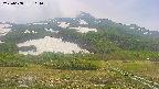 area2-20250608114034.jpg