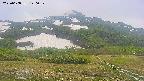 area2-20250608120042.jpg
